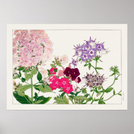 Roze en Paarse Phlox Flowers, gemaakt door Tanigam Poster