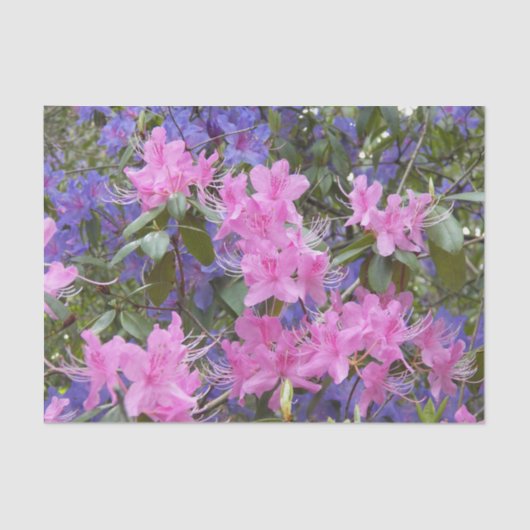 Roze en Paarse Rhododendrons Floral Tissuepapier (Voorkant)