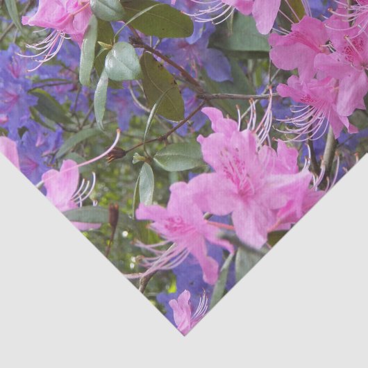 Roze en Paarse Rhododendrons Floral Tissuepapier (Detail)