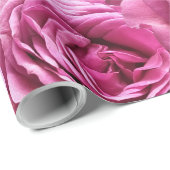 Roze en paarse rozen cadeaupapier (Rol Hoek)