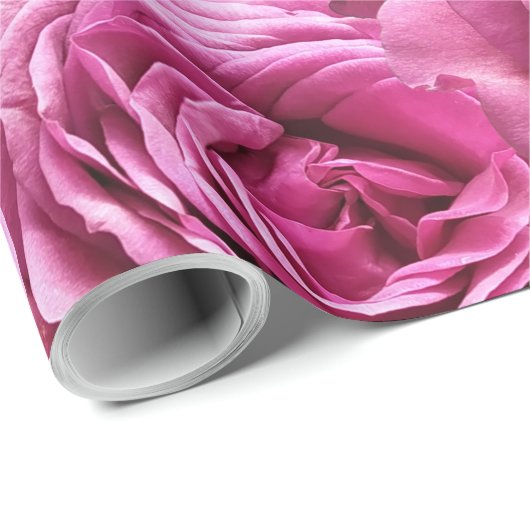 Roze en paarse rozen cadeaupapier (Rol Hoek)