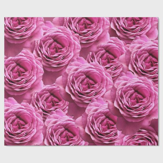 Roze en paarse rozen cadeaupapier (Vlak)