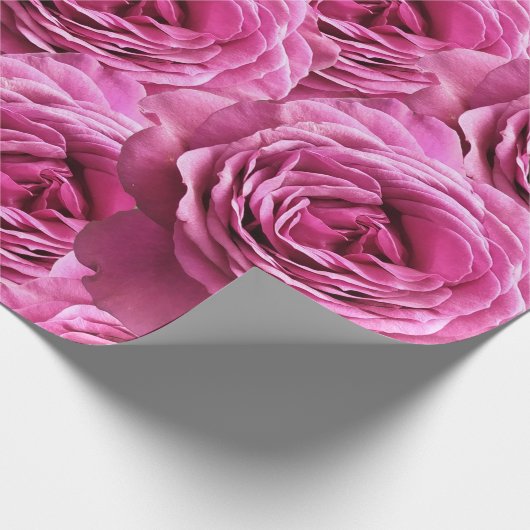 Roze en paarse rozen cadeaupapier (Hoek)