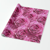 Roze en paarse rozen cadeaupapier (Uitgerold)