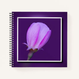 Roze en Paarse Spring Blossom Elegant Bloemen Notitieboek