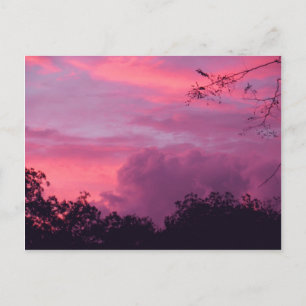 Roze en Paarse Sunset Sunrise Sky Skies Foto Briefkaart