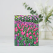 Roze en paarse tulpen lentuin briefkaart (Staand voorkant)
