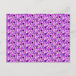 Roze en Paarse Violet Briefkaart