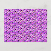 Roze en Paarse Violet Briefkaart (Voorkant)