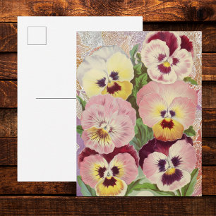 Roze en paarse viooltjes en kanten ephemera briefkaart