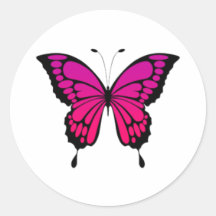 Roze en paarse vlinder