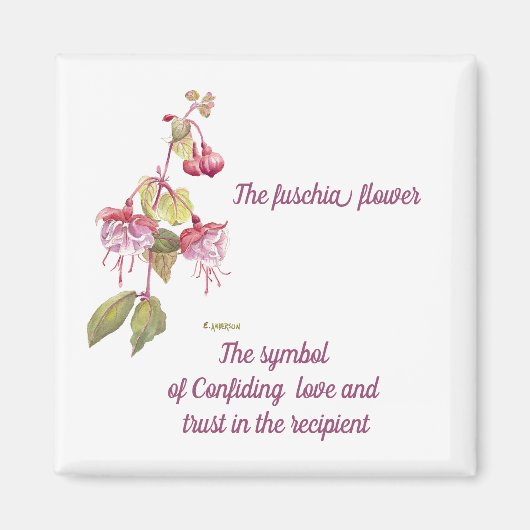 roze en paarse waterverf fuchsia bloem magneet (Voorkant)