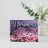 Roze en Paarse zonnebank Briefkaart (Staand voorkant)