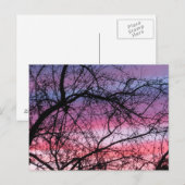 Roze en Paarse zonnebank Briefkaart (Voorkant / Achterkant)