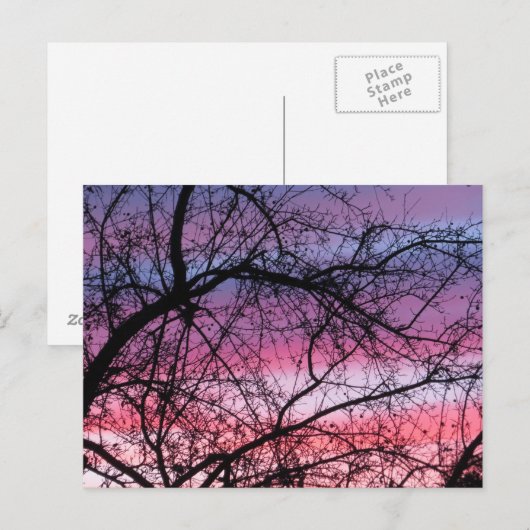 Roze en Paarse zonnebank Briefkaart (Voorkant / Achterkant)