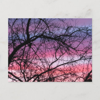 Roze en Paarse zonnebank Briefkaart