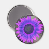Roze en paarse zonnebloem magneet (Voorkant / Achterkant)