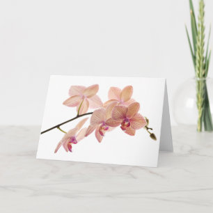 Roze en Perzik Dendrobium Orchid - Gepersonaliseer Kaart
