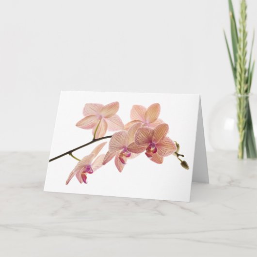 Roze en Perzik Dendrobium Orchidee - Gepersonalise Kaart (Voorkant)