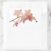Roze en Perzik Dendrobium Orchidee - Gepersonalise Rechthoekige Sticker (Tas)