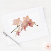 Roze en Perzik Dendrobium Orchidee - Gepersonalise Rechthoekige Sticker (Envelop)