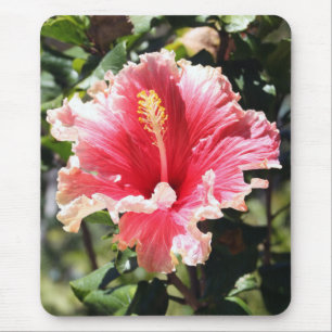 Roze en Perzik Hibiscus Foto Mousepad Muismat