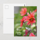 Roze en Red Dahlia bee Happy Flowers Wisley Briefkaart (Voorkant / Achterkant)