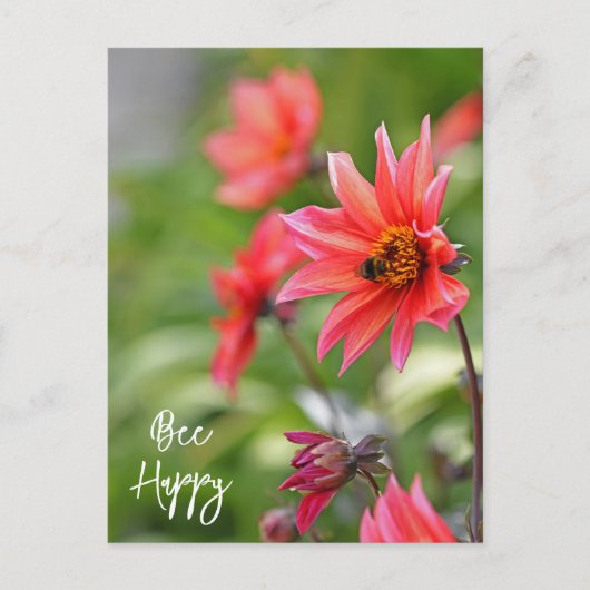 Roze en Red Dahlia bee Happy Flowers Wisley Briefkaart (Voorkant)