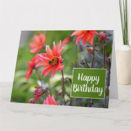 Roze en Red Dahlia Flowers Wisley Happy Birthday Kaart