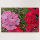 Roze en rode geranium legpuzzel (Horizontaal)