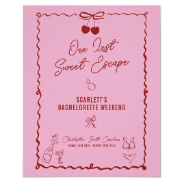 Roze en Rode Kers Bachelorette Feestweekend Perfect Poster