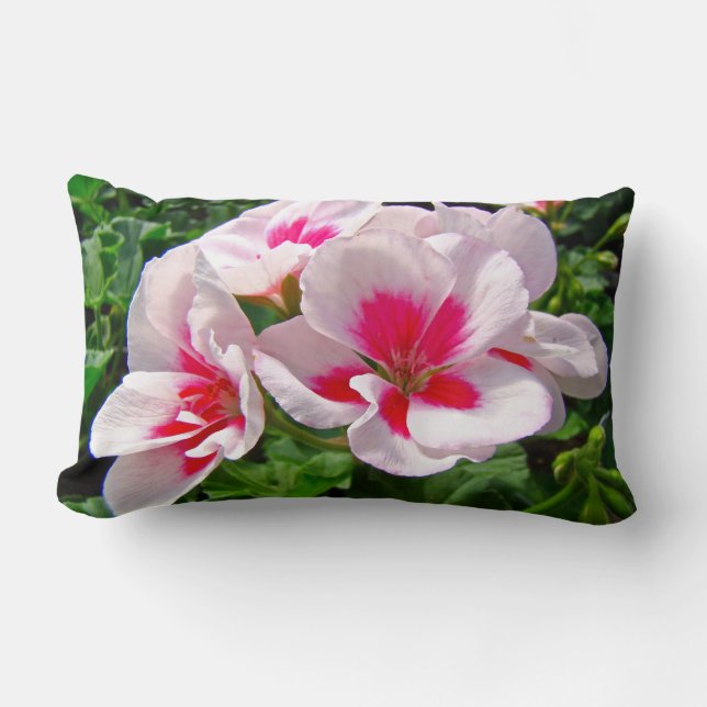 Roze en rode kieuwen kussen (Voorkant)