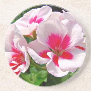 Roze en rode kieuwen zandsteen onderzetter