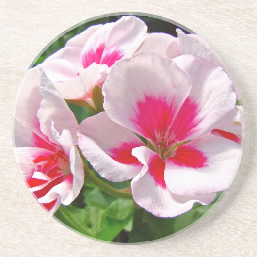 Roze en rode kieuwen zandsteen onderzetter (Voorkant)