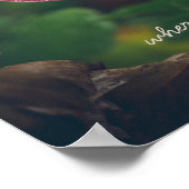 Roze en rode pansy bloem bedekt met regendruppels poster (Hoek)