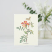  roze en rode rozen botanische afdrukken briefkaart (Staand voorkant)