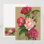 Roze en rode rozen schilderen briefkaart (Voorkant / Achterkant)