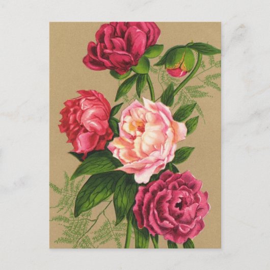 Roze en rode rozen schilderen briefkaart (Voorkant)