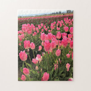 Roze en rode Tulpen in een veld, Oregon Legpuzzel
