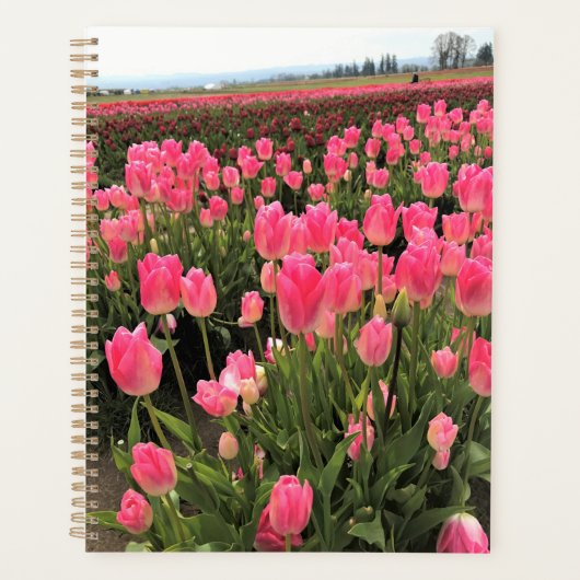 Roze en rode Tulpen in een veld, Oregon Planner (Voorkant)
