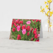 Roze en rode tulpen kaart (Gele Bloem)