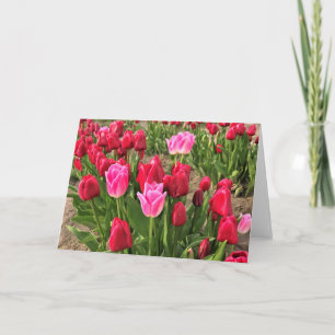 Roze en rode tulpen kaart