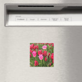 Roze en rode tulpen magneet (Insitu (Vaatwasser))