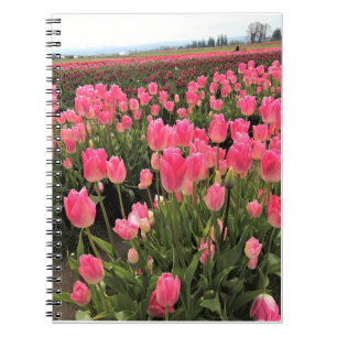 Roze en rode tulpen op een veld, Oregon Notitieboek