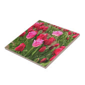 Roze en rode tulpen tegeltje (Zijkant)