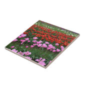 Roze en rood Tulp Field, Oregon Tegeltje (Zijkant)