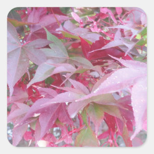 Roze en salie vallen bladeren vierkante sticker