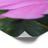 Roze en Trots Poster (Hoek)