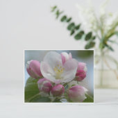 Roze en White Apple Blossom Photo Briefkaart (Staand voorkant)