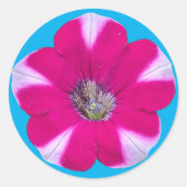 Roze en wit Gestreepte Petunia Bloem Ronde Sticker (Voorkant)